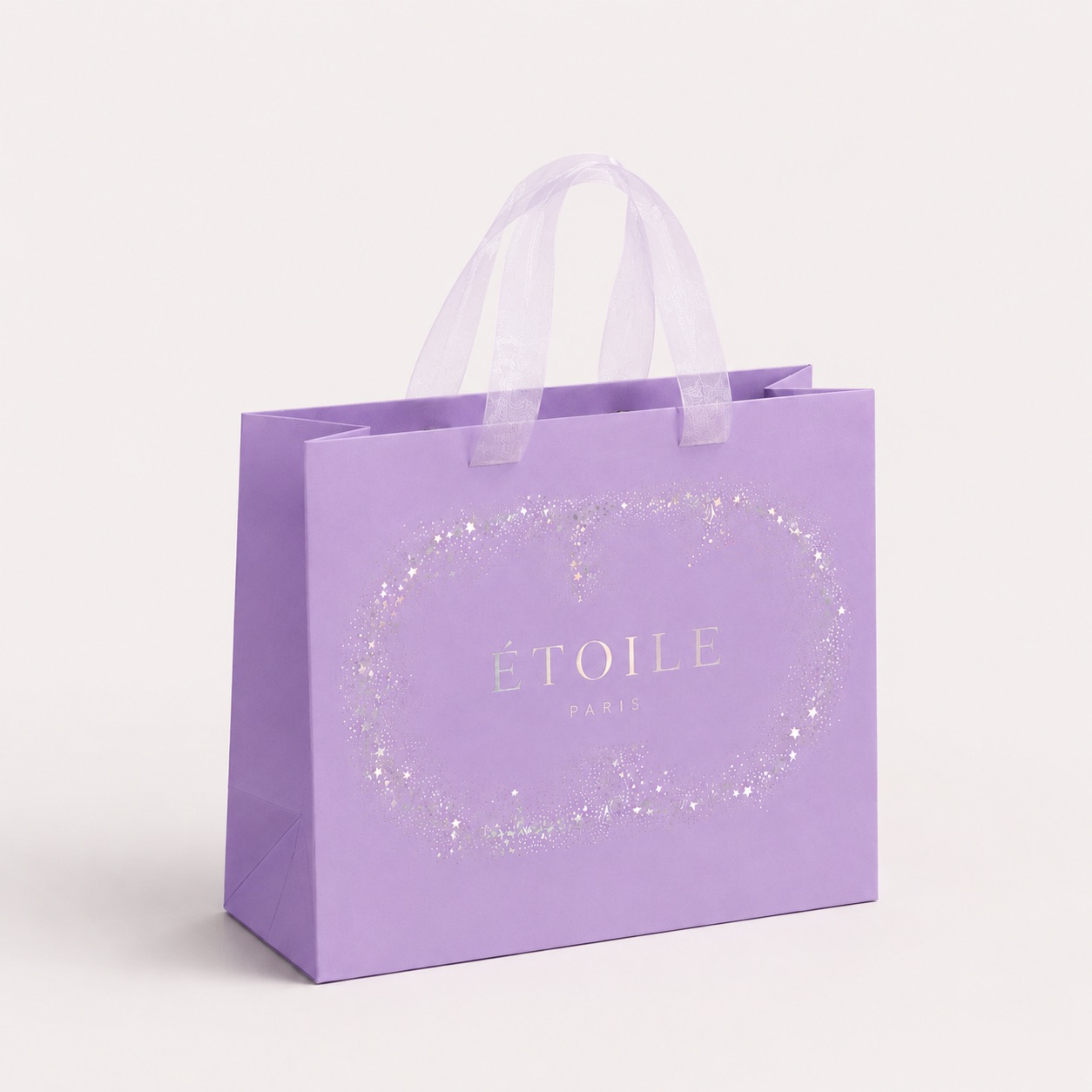 Ribbon Handle Paper Bag