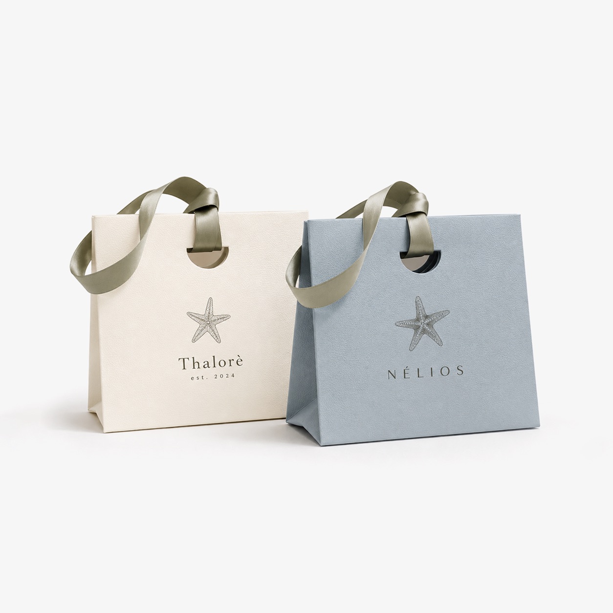 Luxury Ribbon Handle Paper Bag