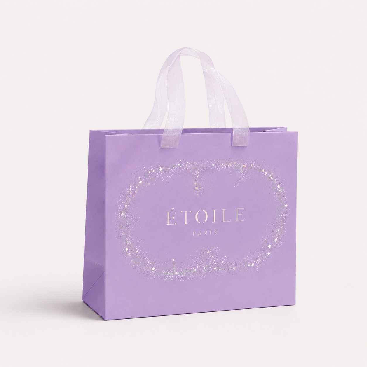 Ribbon Handle Paper Bag
